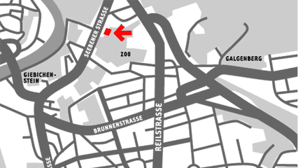 Anfahrt - Luchskino am ZOO